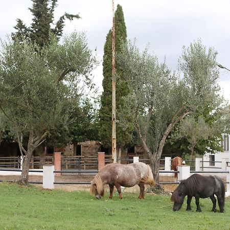 Masia Can Rovira - Esc1852 San Lorenzo de Hortóns Extérieur photo