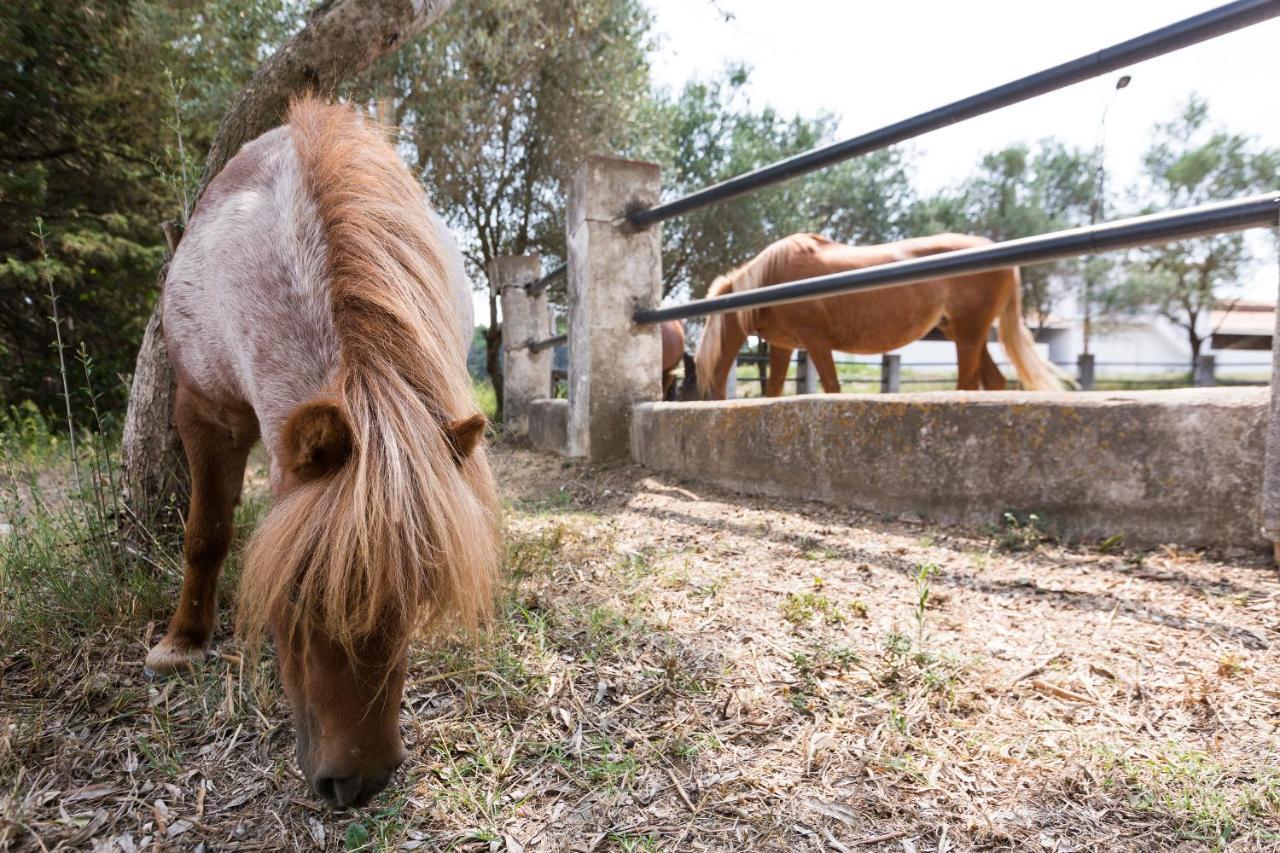 Masia Can Rovira - Esc1852 San Lorenzo de Hortóns Extérieur photo