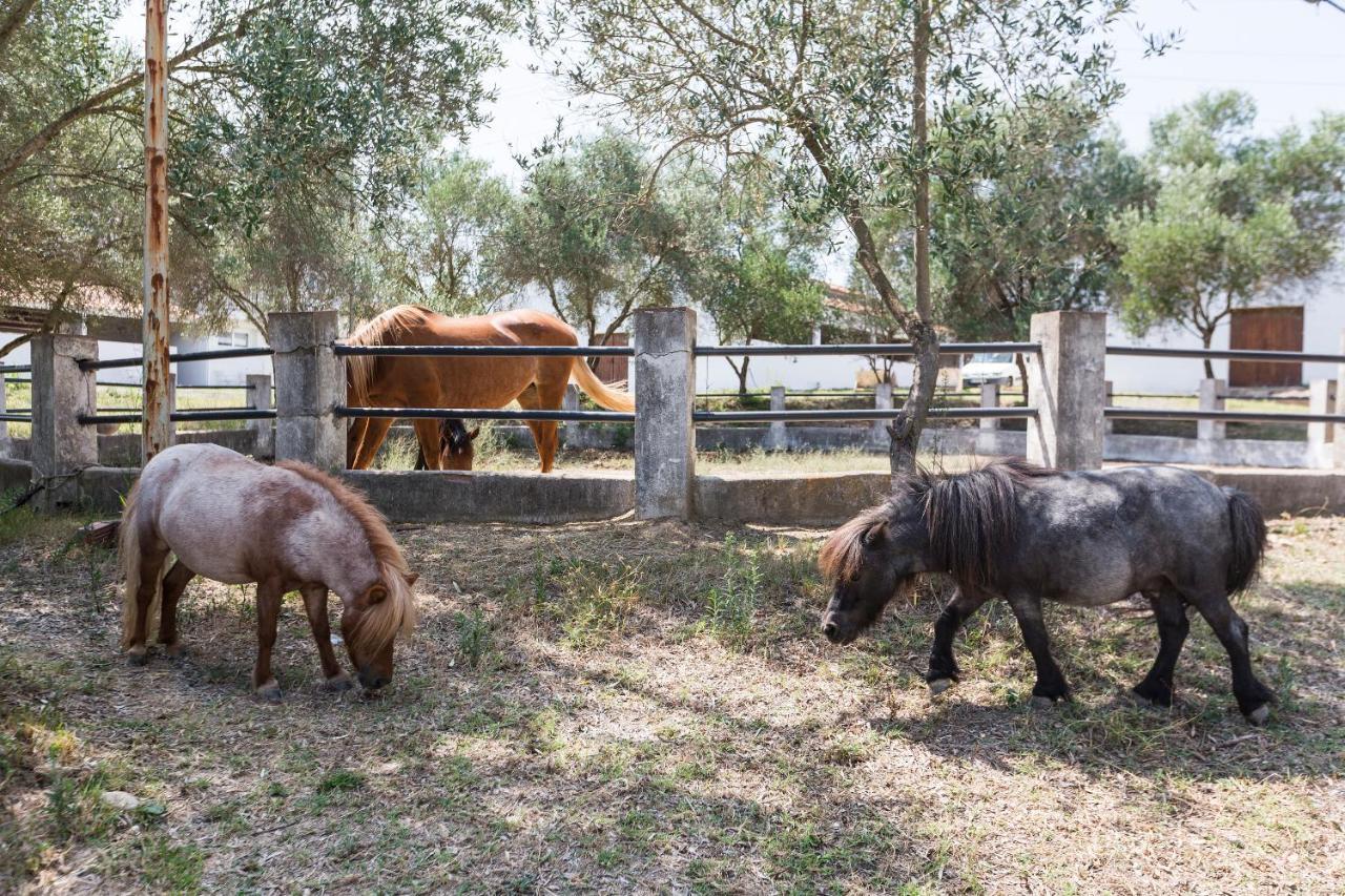 Masia Can Rovira - Esc1852 San Lorenzo de Hortóns Extérieur photo