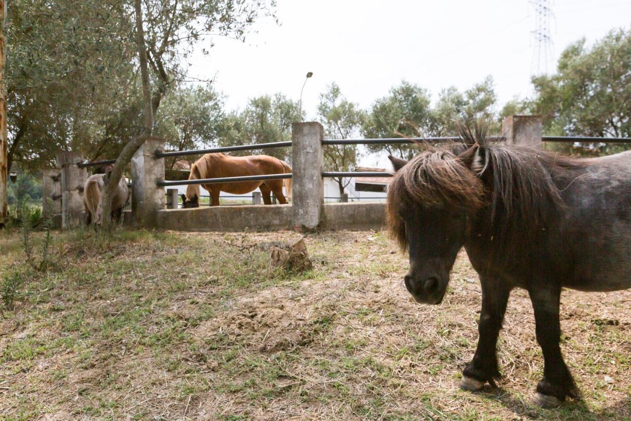 Masia Can Rovira - Esc1852 San Lorenzo de Hortóns Extérieur photo