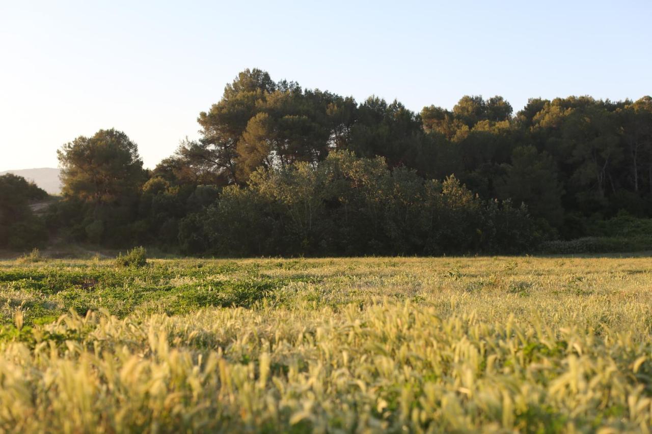 Masia Can Rovira - Esc1852 San Lorenzo de Hortóns Extérieur photo